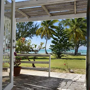 Anegada Reef The Settlement